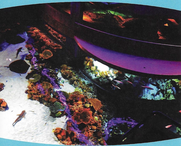 Screenshot 2016-05-01 16.05.17